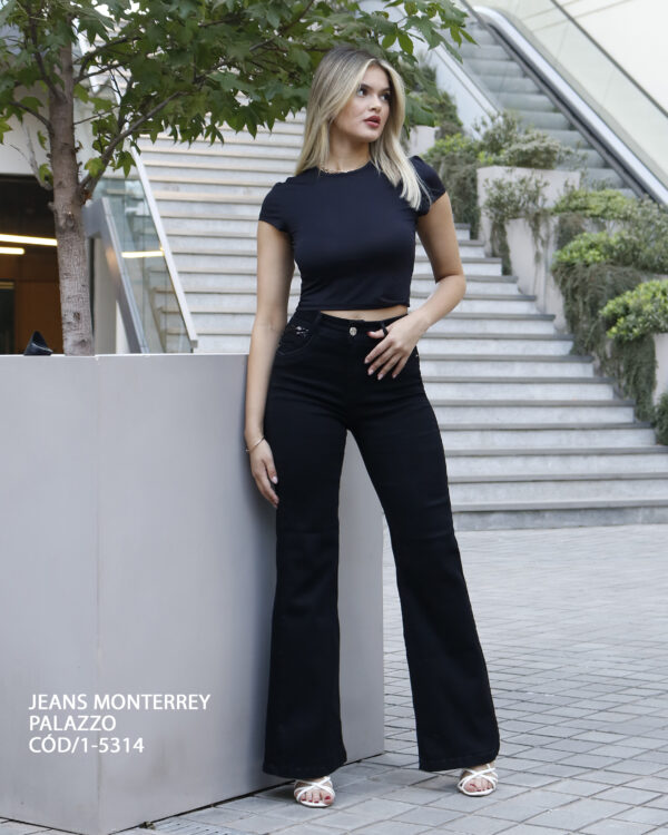 Jeans Ow Monterrey Palazzo Black Lentejuela - SKU 1-5314